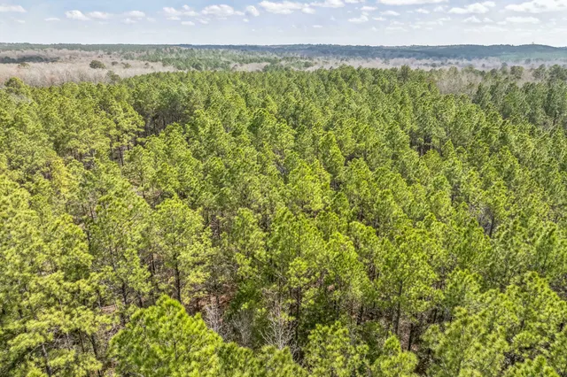 a view of a green field with lots of bushes