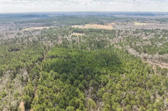 a view of a yard with plants and wooden fence