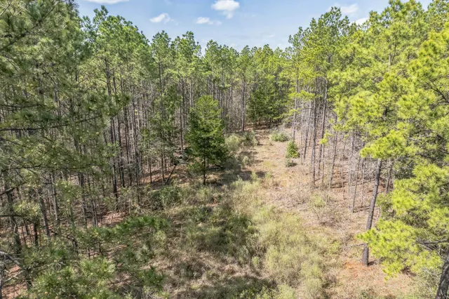 a view of a dry yard with green space