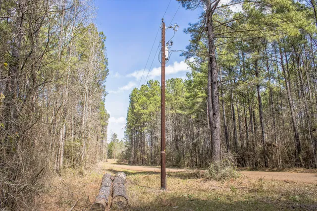 a view of a forest with an outdoor space