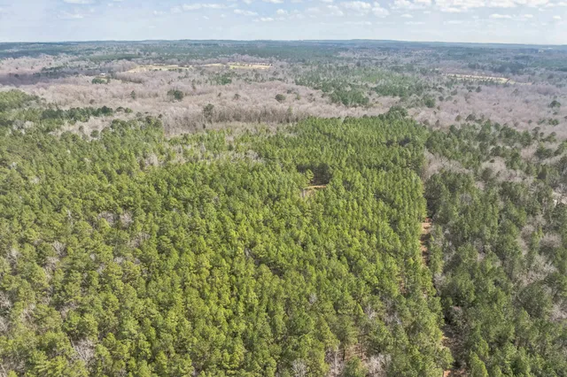 a bathroom with a shower curtain