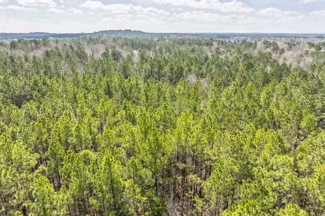 a view of a large yard with an outdoor space