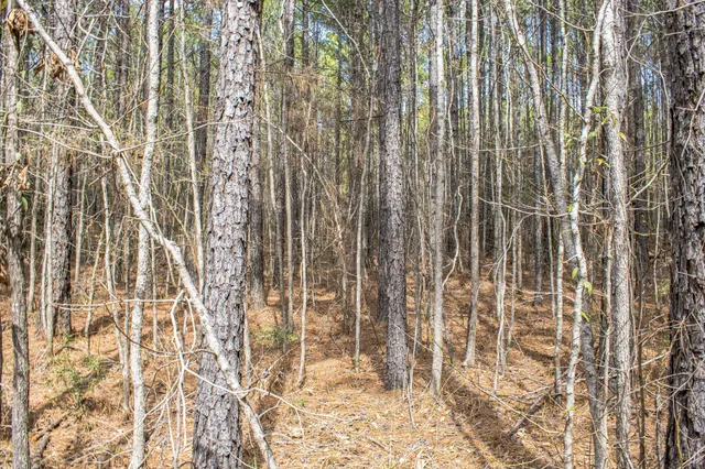 a view of a lake view