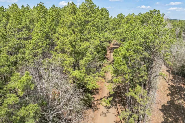 a view of a green field with an ocean view