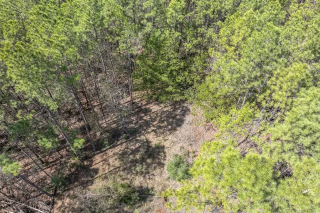 a view of a lake from a yard