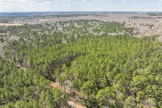 $59,999 | 0 Sid Dennis Lane, San Augustine, TX 75972