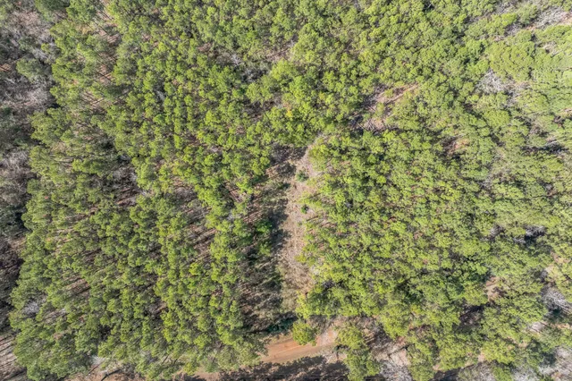 $59,999 | 0 Sid Dennis Lane, San Augustine, TX 75972