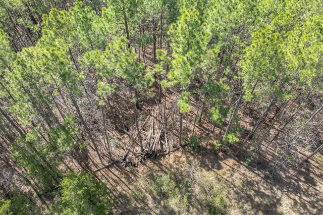 $59,999 | 0 Sid Dennis Lane, San Augustine, TX 75972