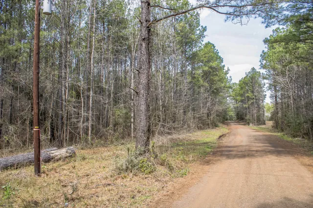 a view of a yard with trees in the background