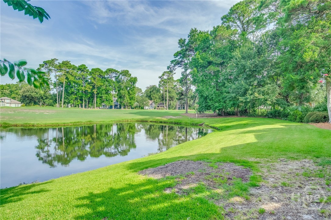 19 Tarrow Ridge Road Savannah, GA 31411 - Photo 35 of 41