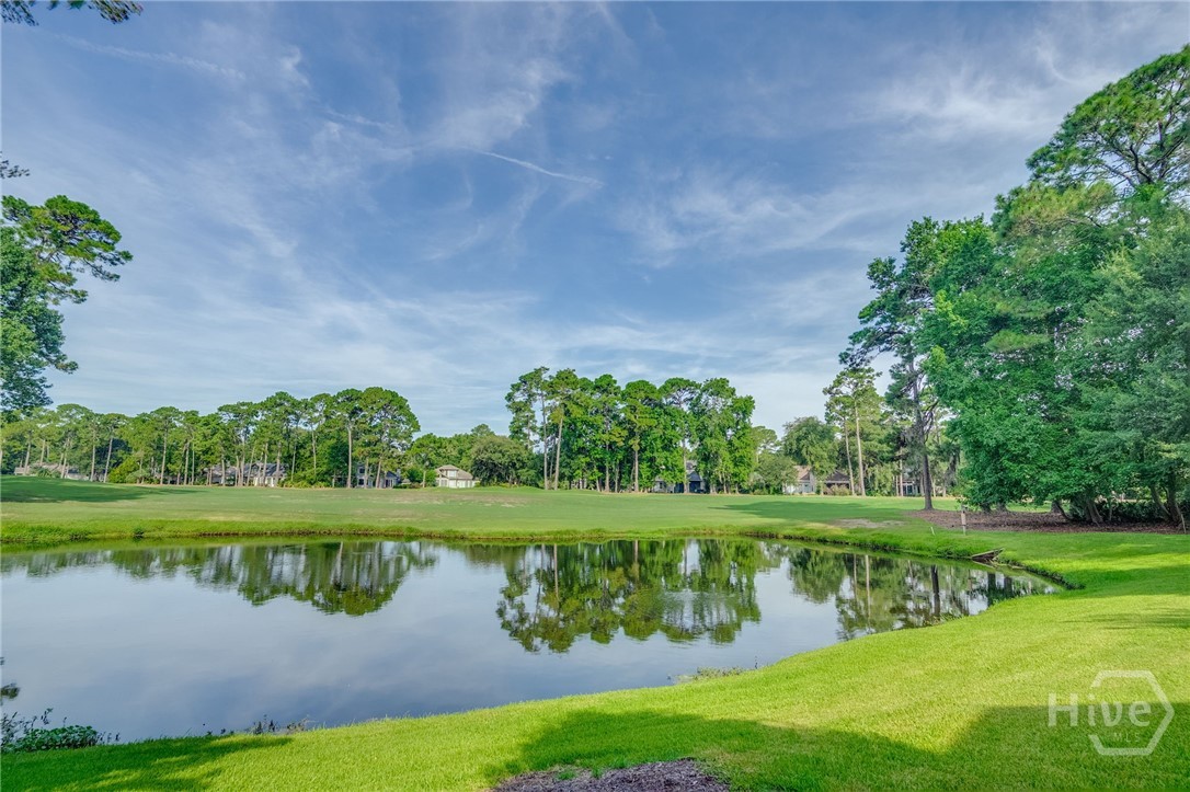 19 Tarrow Ridge Road Savannah, GA 31411 - Photo 36 of 41