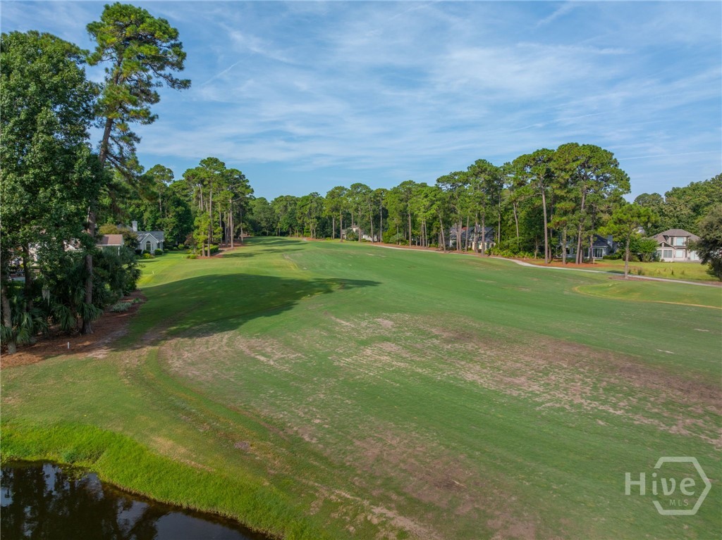 19 Tarrow Ridge Road Savannah, GA 31411 - Photo 38 of 41