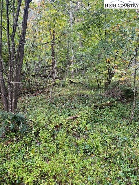 Little Piney Road Lansing, NC 28643 - Photo 2 of 18 Gallery Image 2