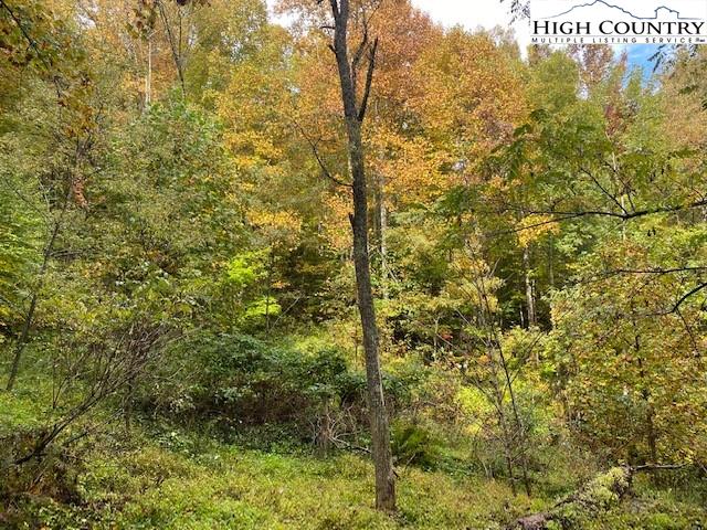 Little Piney Road Lansing, NC 28643 - Photo 8 of 18 Gallery Image 8