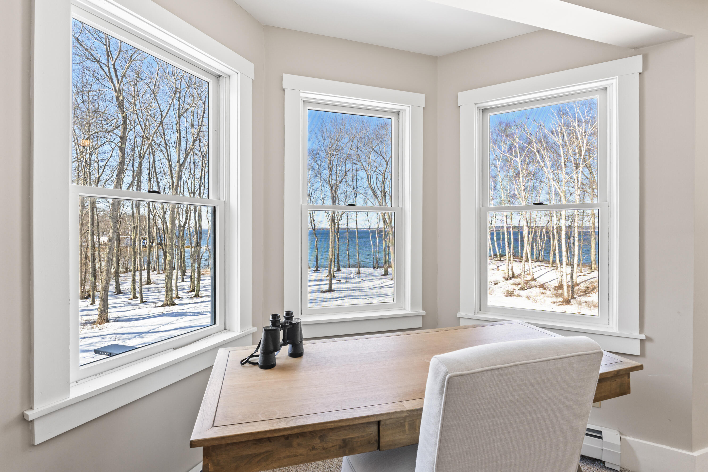 48 Pond Road Chebeague Island, ME 04017 - Photo 12 of 33 Primary Winter View-48_Pond_Road_158