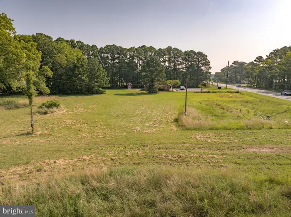 a view of a yard