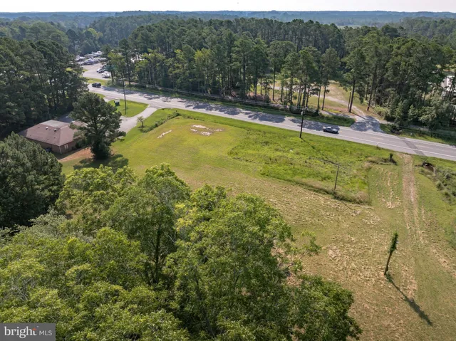 a view of a lake in a forest