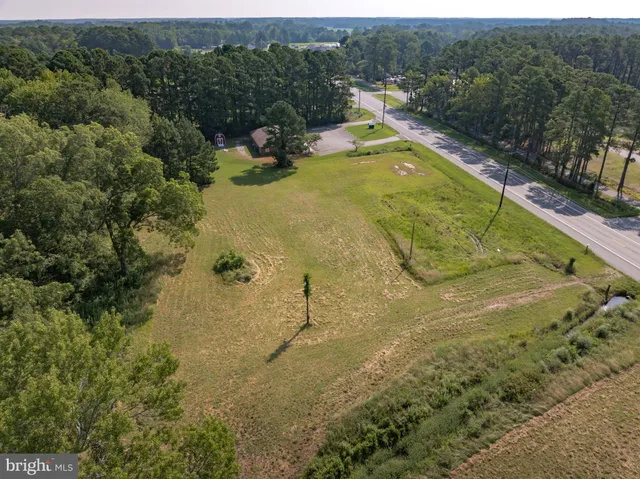 a big yard with lots of green space