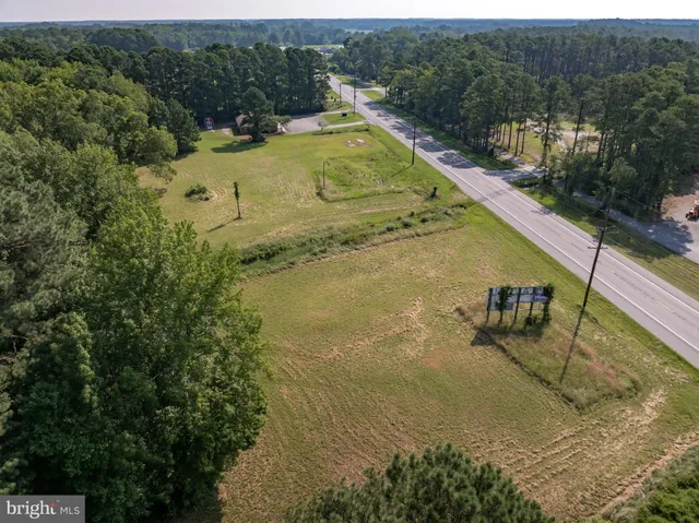 a view of a garden and basketball court