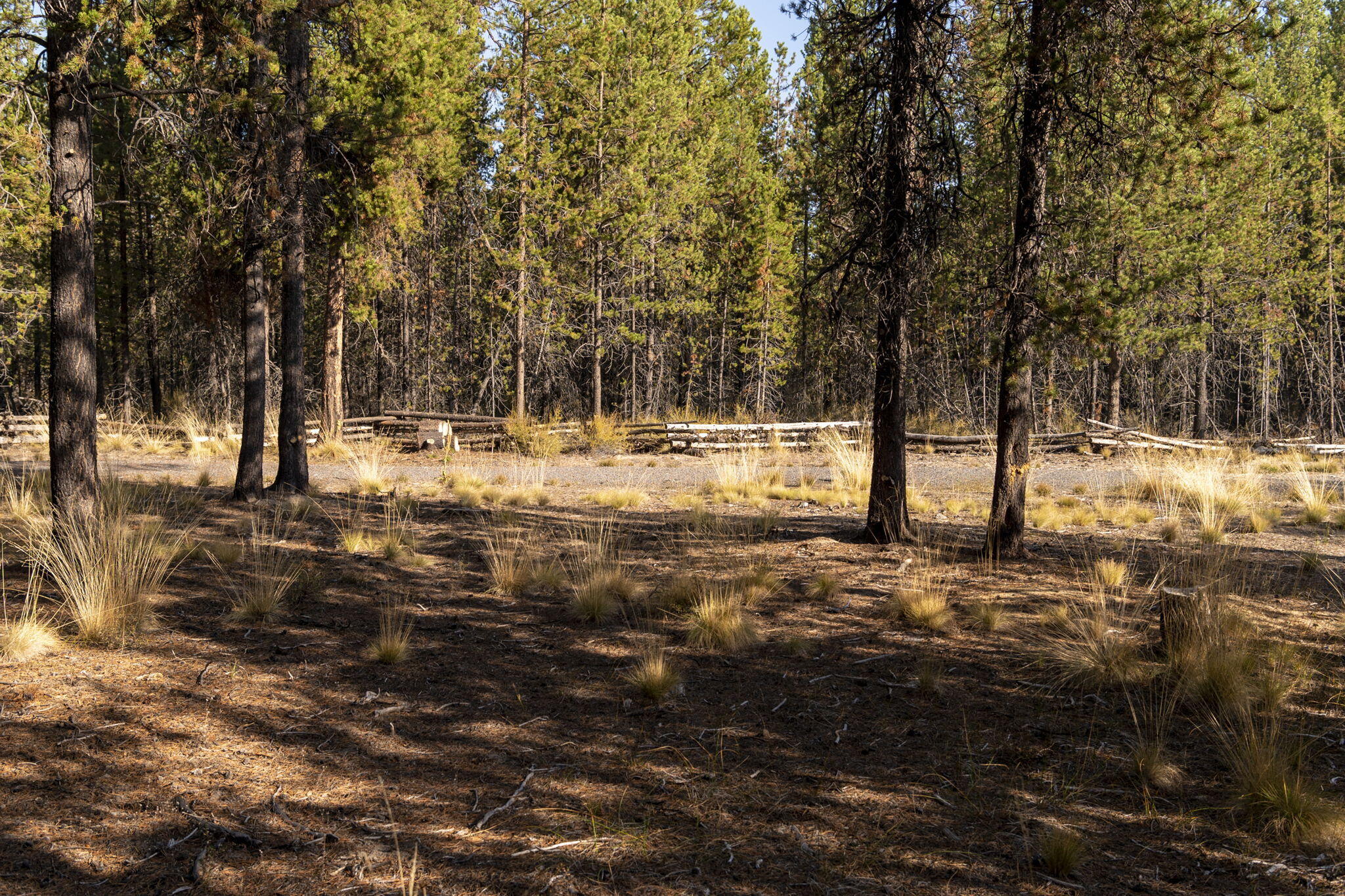 55166 Tamarack Road Bend, OR 97707 - Photo 15 of 30 4-web-or-mls-55166 Tamarack Rd, Bend-4
