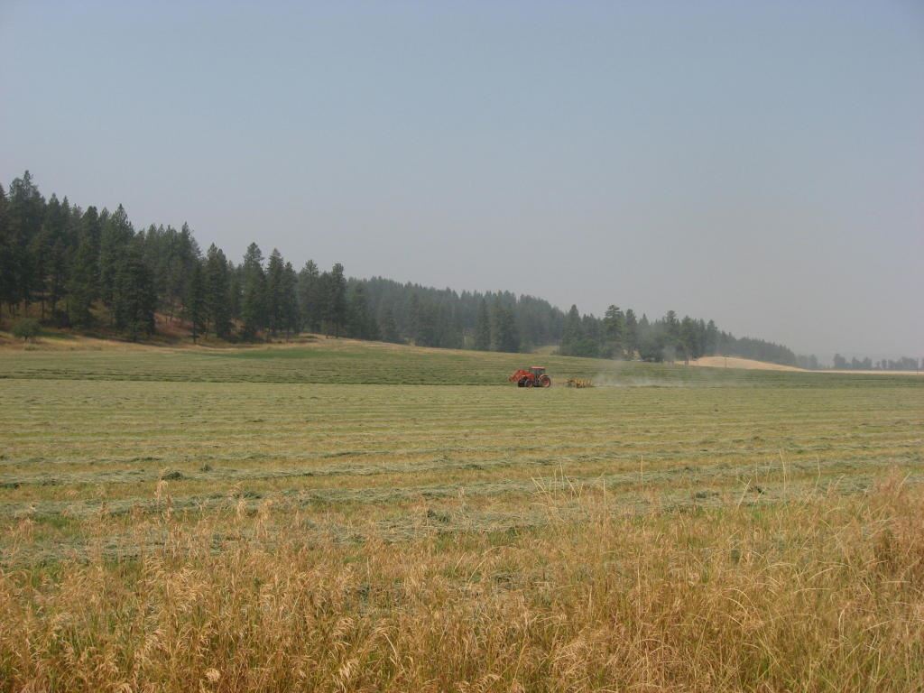 16-xx A West Zimmer Road Addy, WA 99101 - Photo 1 of 4 Gallery Image 1