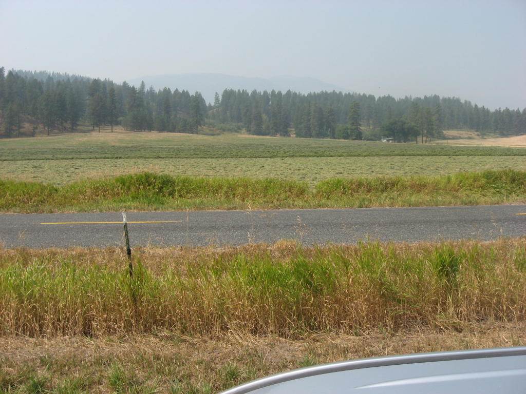 16-xx A West Zimmer Road Addy, WA 99101 - Photo 2 of 4 Gallery Image 2