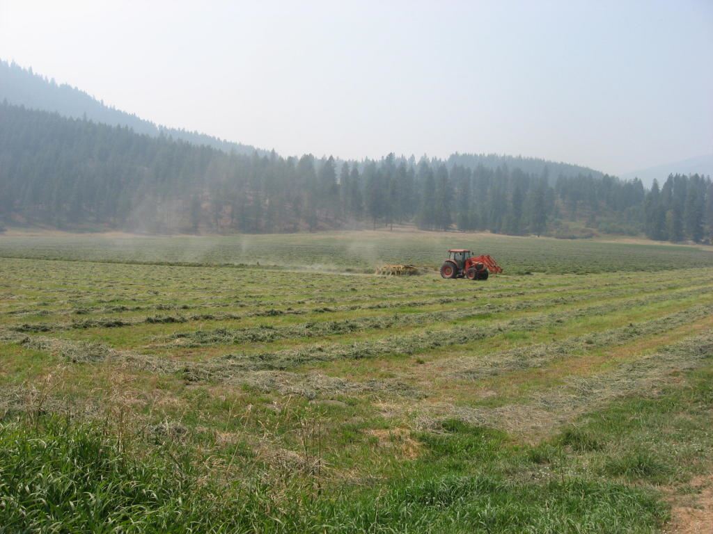16-xx A West Zimmer Road Addy, WA 99101 - Photo 4 of 4 Gallery Image 4