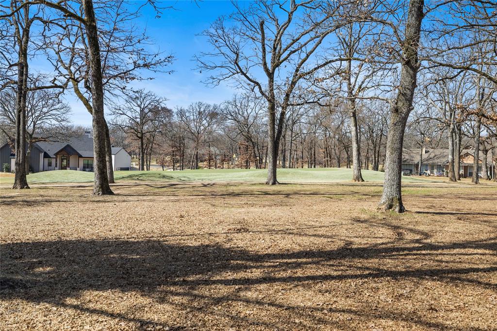 203 Colonial Drive Mabank, TX 75156 - Photo 2 of 36 a view of park with tree