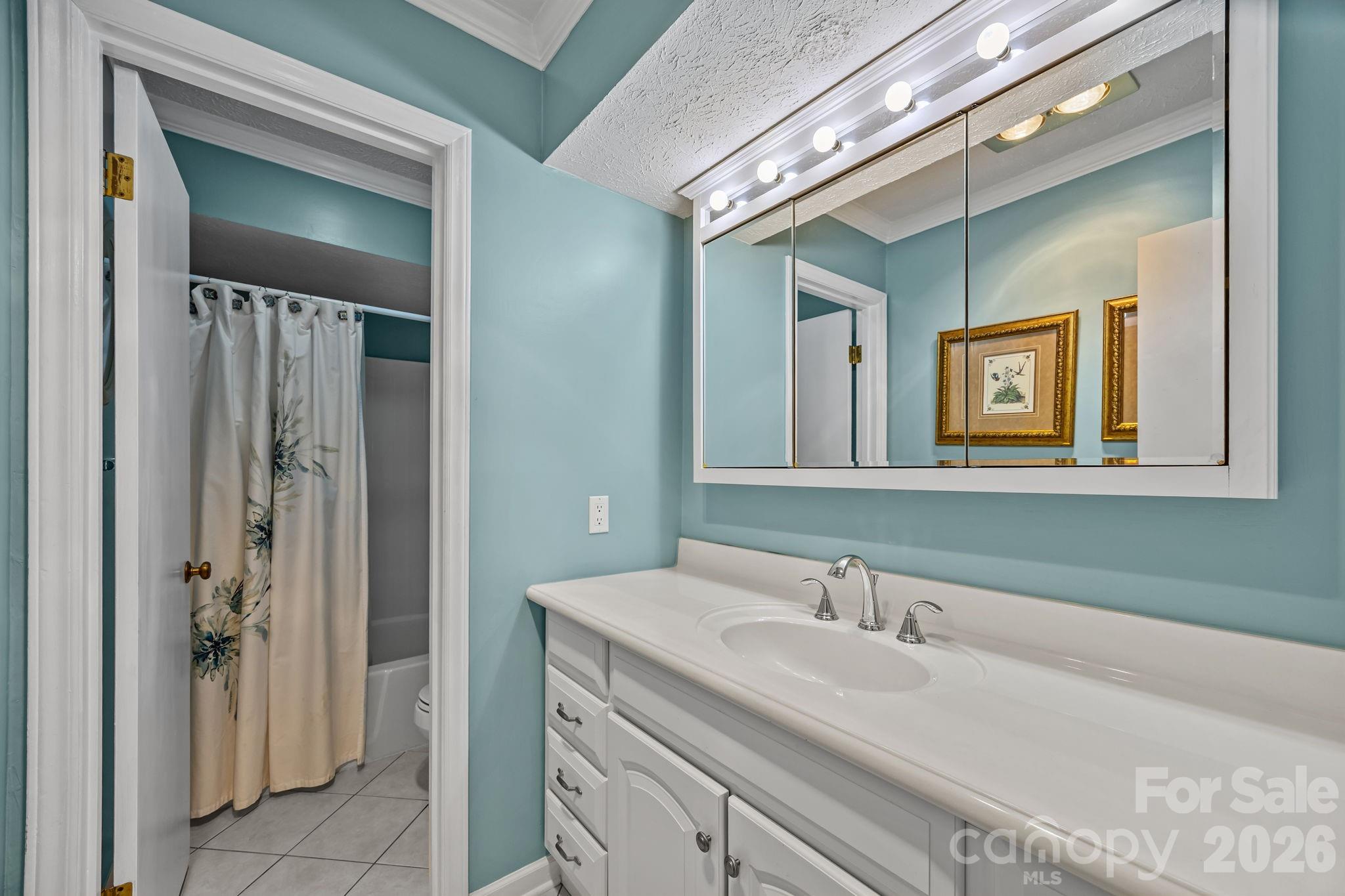 6777 Pinnacle Mountain Road Zirconia, NC 28790 - Photo 14 of 41