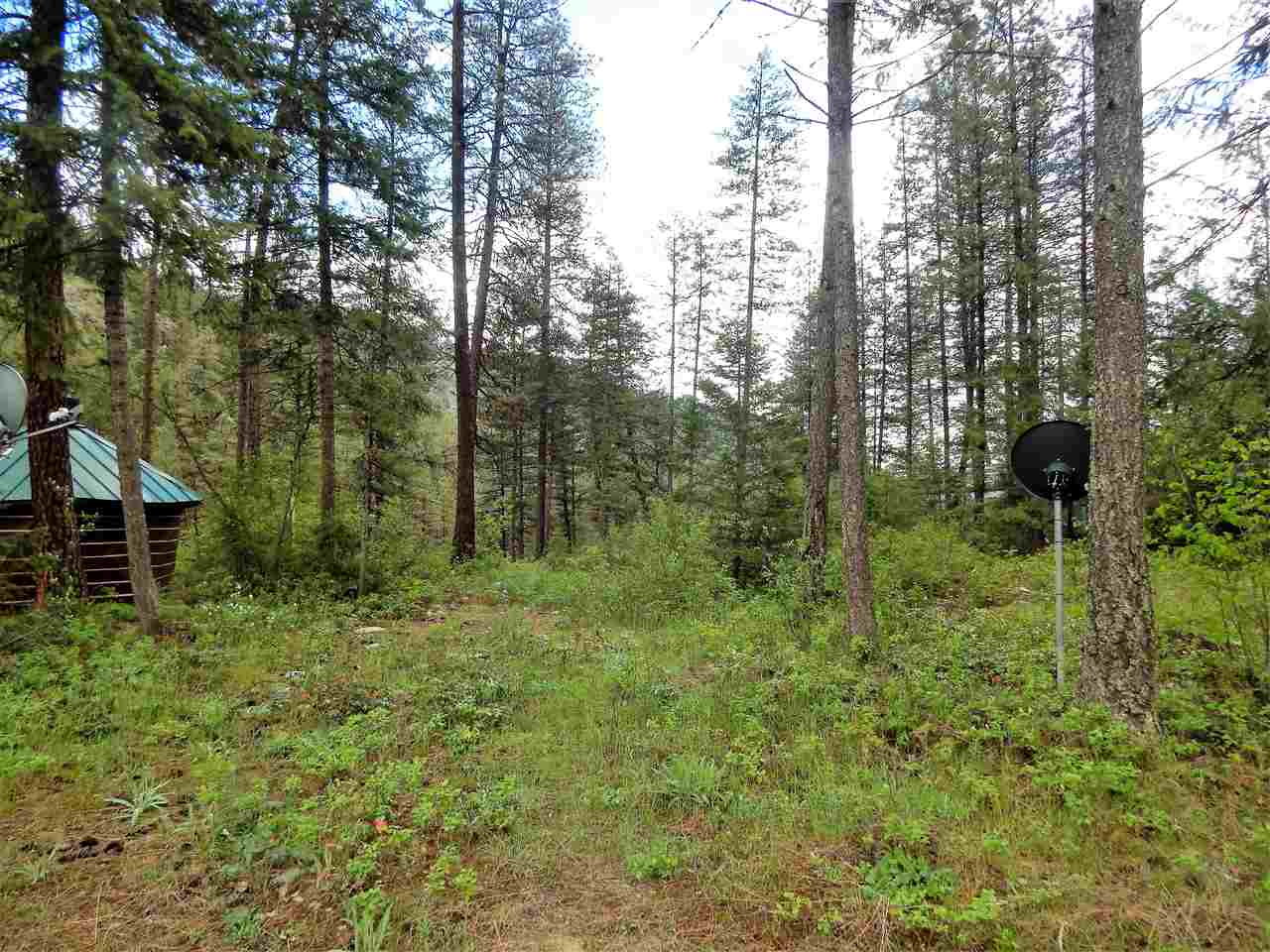 36 Merkel Road Kettle Falls, WA 99141 - Photo 2 of 14 Gallery Image 2