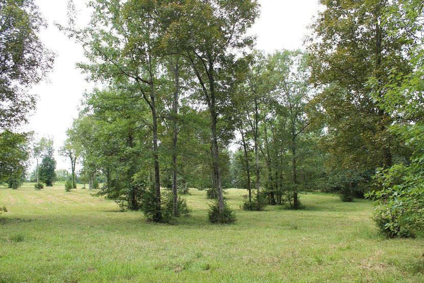2 Vaught Road Readyville, TN 37149 - Photo 2 of 7 Gallery Image 2