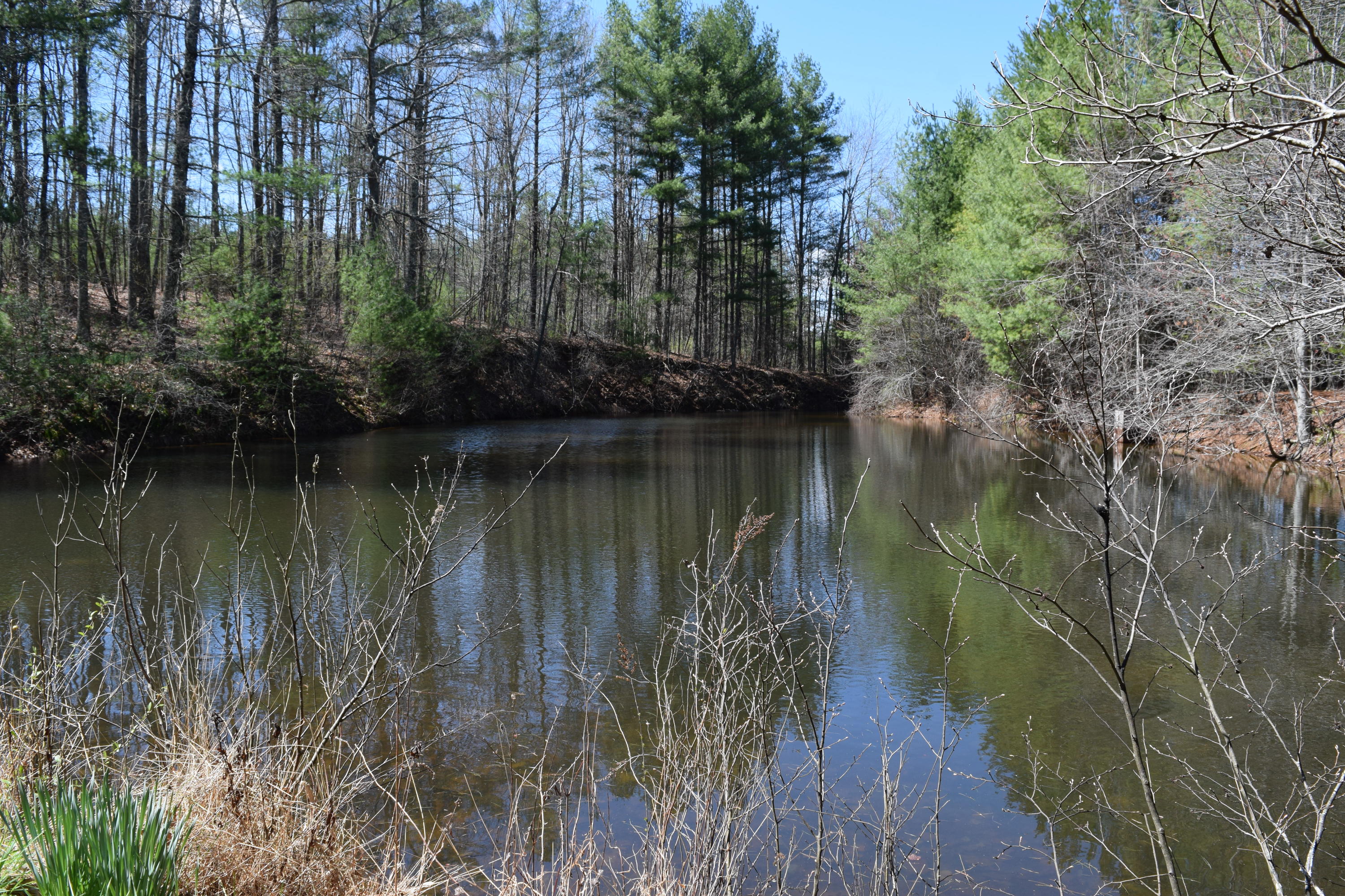 0 Keith Road Northwest Willis, VA 24380 - Photo 21 of 35 20