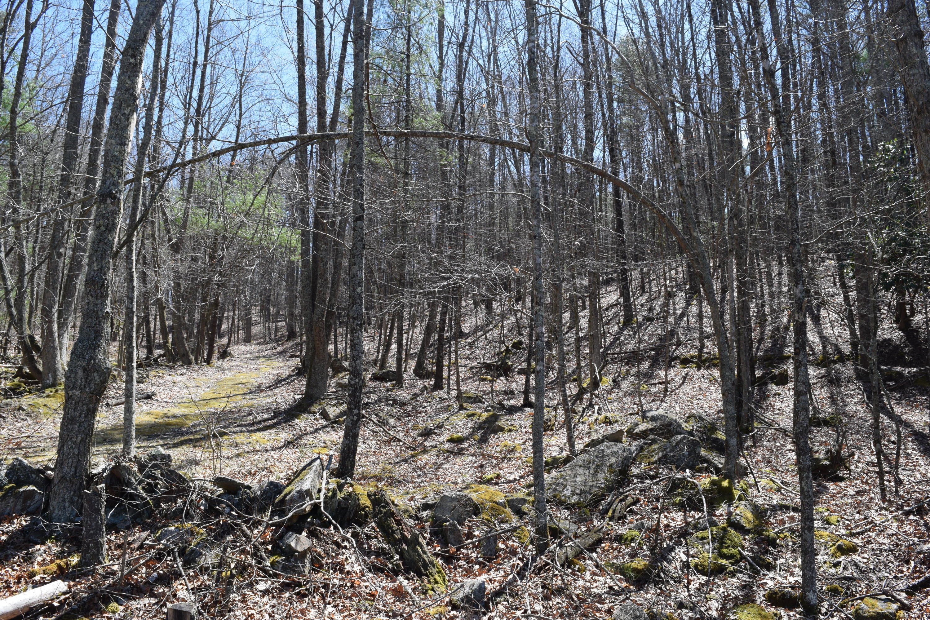 0 Keith Road Northwest Willis, VA 24380 - Photo 26 of 35 25