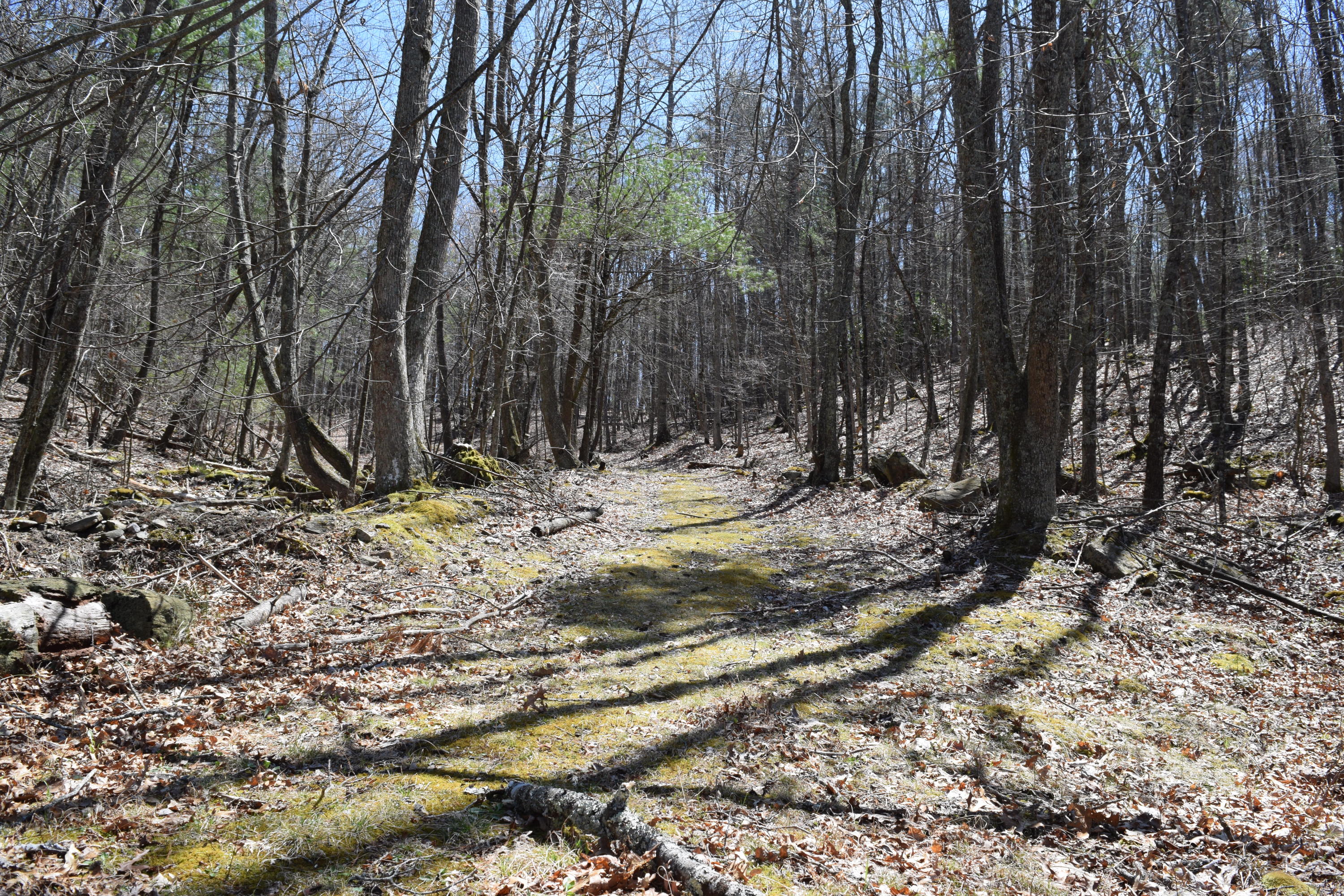 0 Keith Road Northwest Willis, VA 24380 - Photo 27 of 35 26