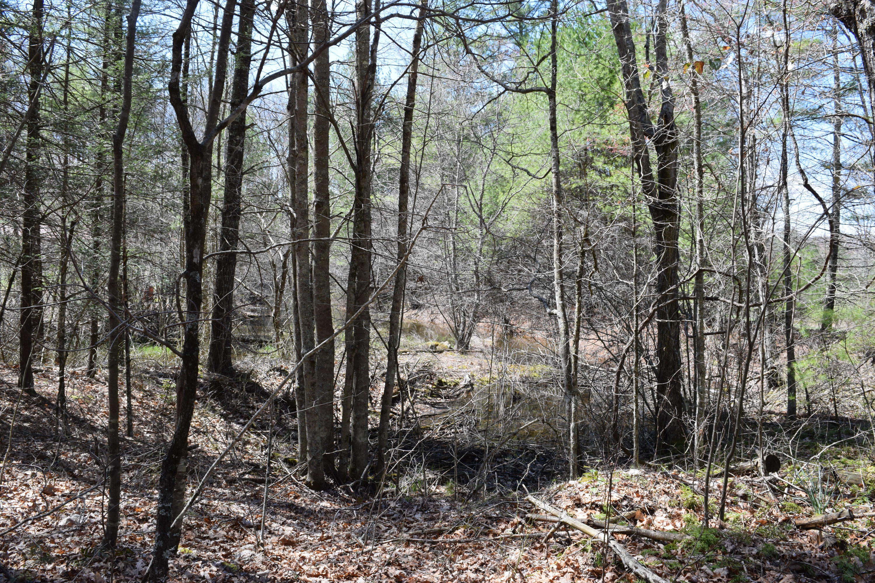 0 Keith Road Northwest Willis, VA 24380 - Photo 32 of 35 31