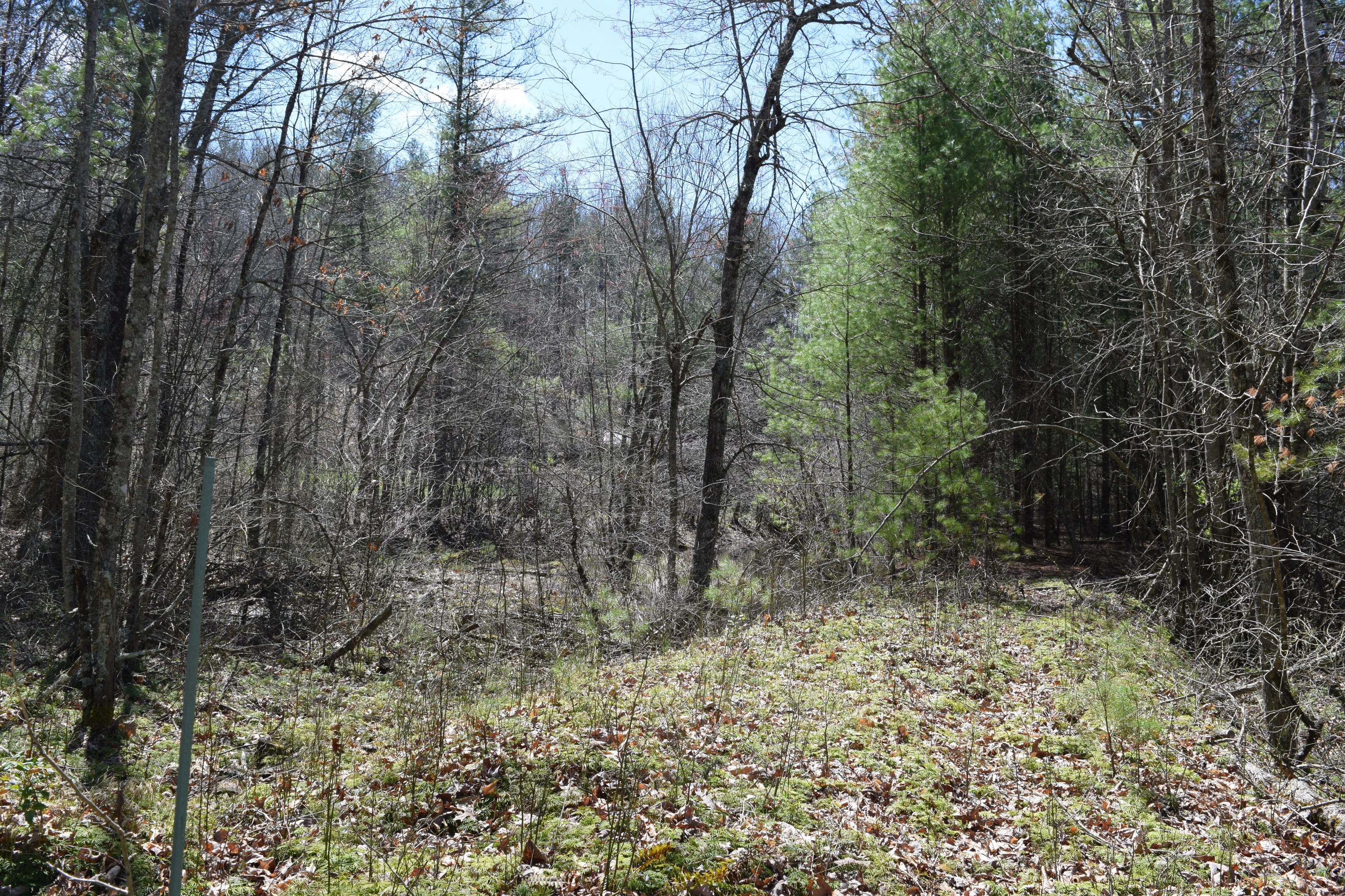 0 Keith Road Northwest Willis, VA 24380 - Photo 34 of 35 33