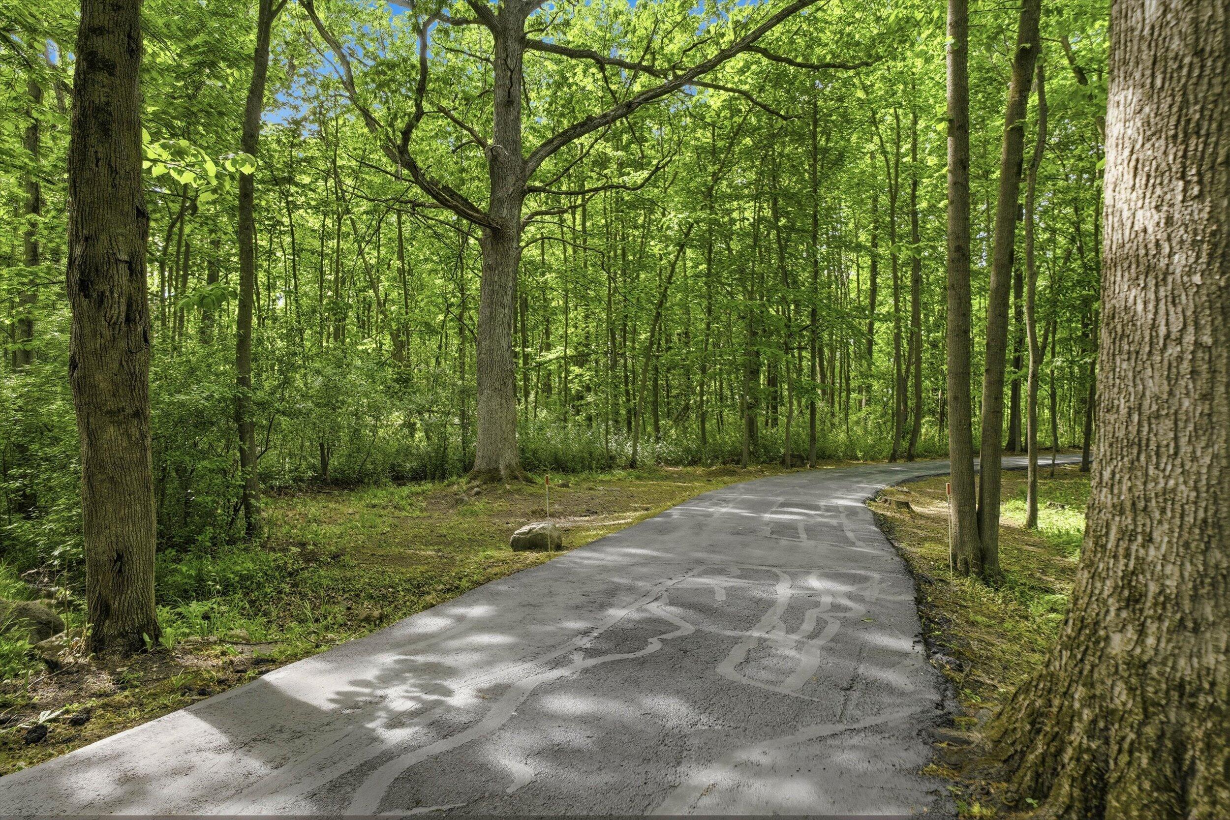 9431 Hawthorne Road Mequon, WI 53097 - Photo 57 of 67 Forested driveway