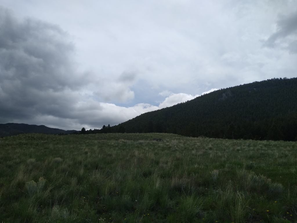 75 Foothill Road Boulder, MT 59632 - Photo 13 of 26 Gallery Image 13