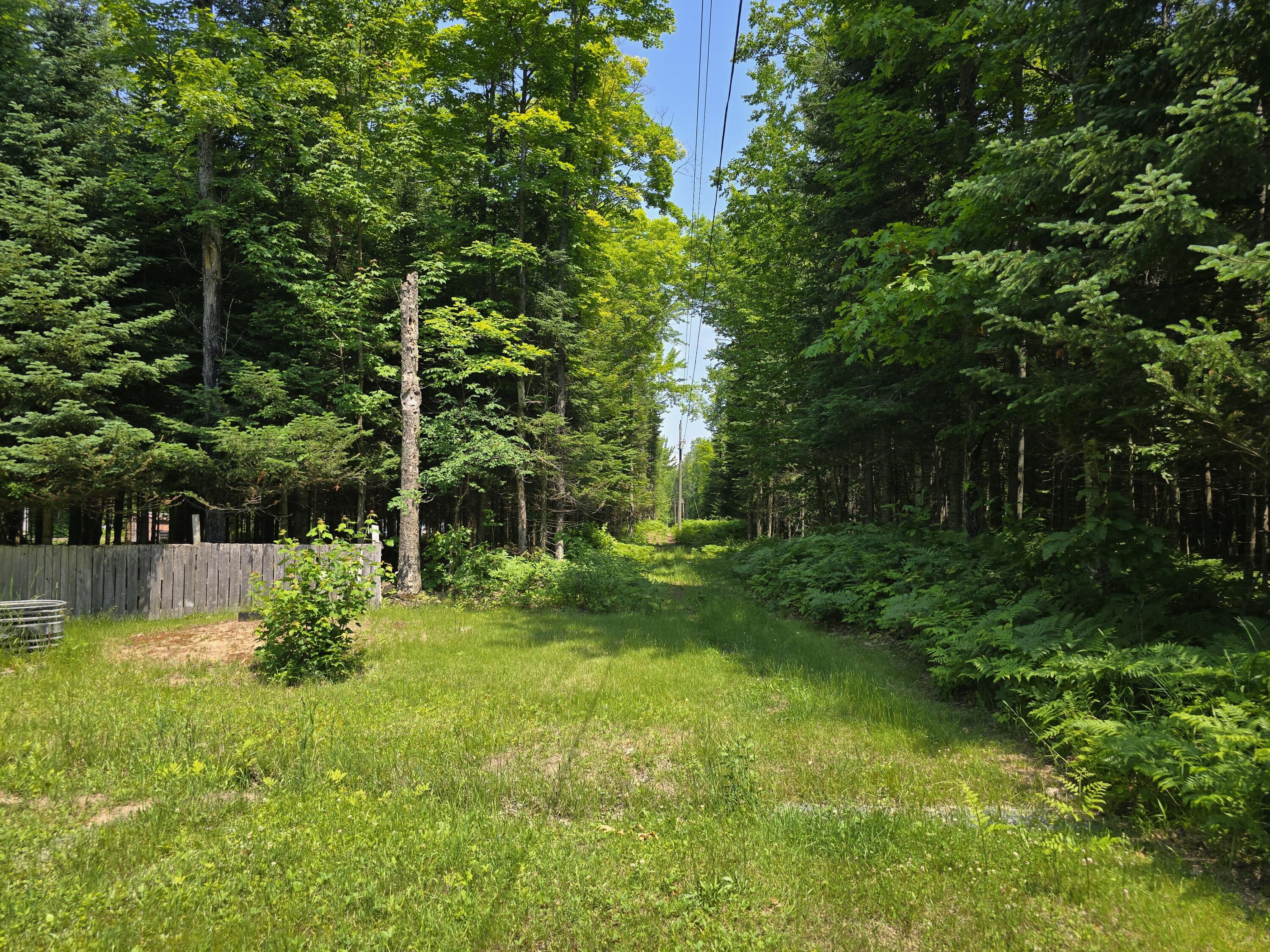 15133 South Kinross Road Kinross, MI 49752 - Photo 77 of 153 Yard