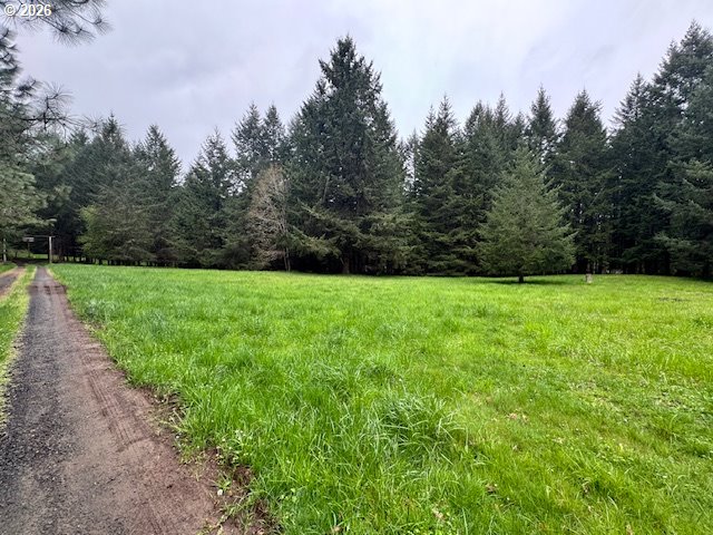 23939 Raze Road Elmira, OR 97437 - Photo 35 of 44