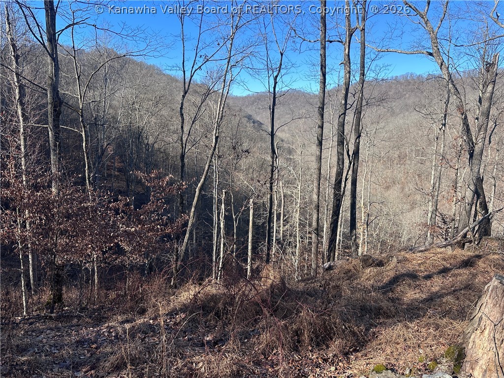 981 Powell Branch Road Danville, WV 25053 - Photo 44 of 50 Gallery Image 44