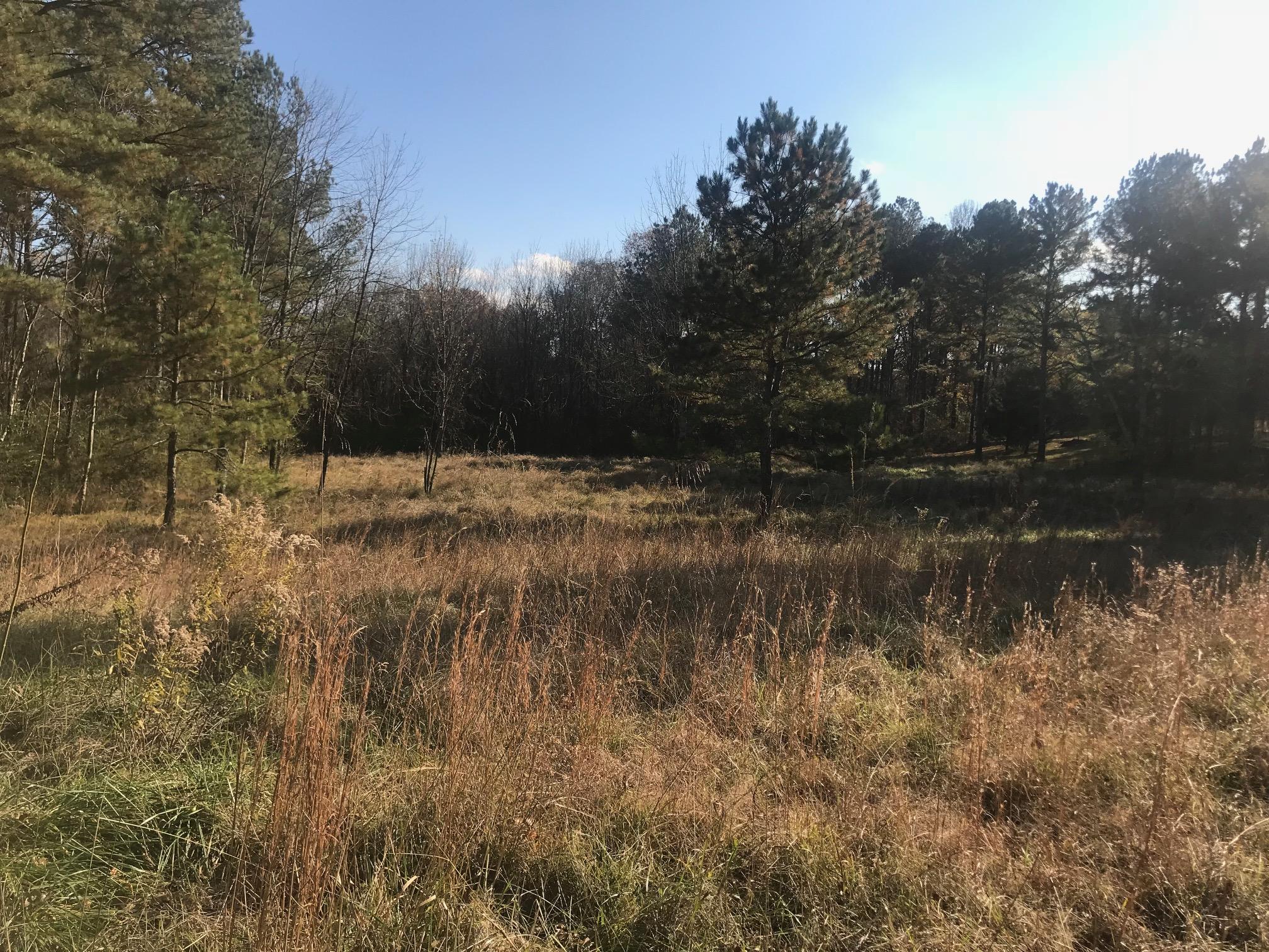 150 Ramsey Bridge Road Southeast Cleveland, TN 37323 - Photo 1 of 12 IMG_2449