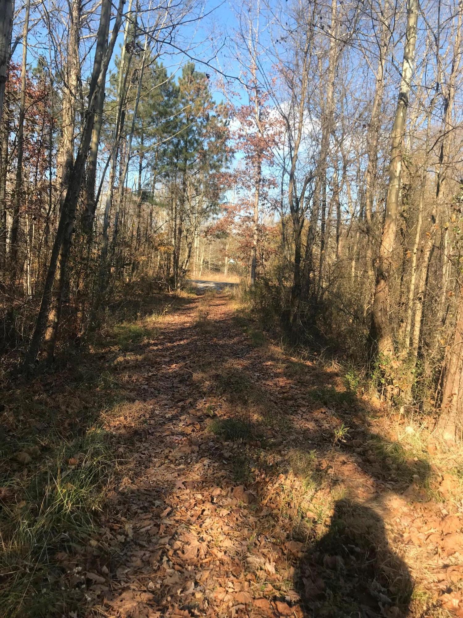 150 Ramsey Bridge Road Southeast Cleveland, TN 37323 - Photo 2 of 12 IMG_2488
