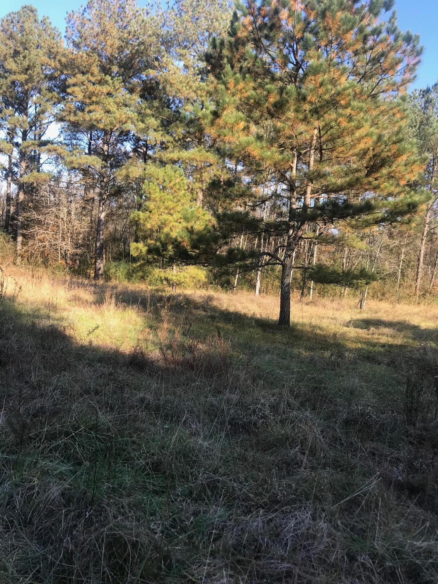150 Ramsey Bridge Road Southeast Cleveland, TN 37323 - Photo 5 of 12 IMG_2473