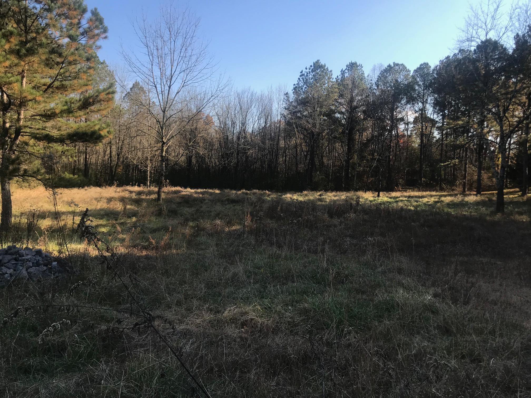 150 Ramsey Bridge Road Southeast Cleveland, TN 37323 - Photo 6 of 12 IMG_2464
