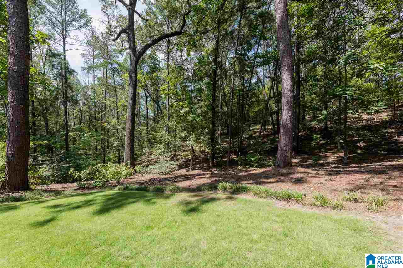 465 Pineway Drive Birmingham, AL 35226 - Photo 42 of 49