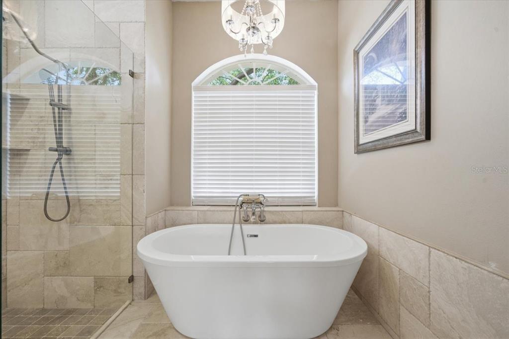 4317 Beau Rivage Circle Lutz, FL 33558 - Photo 45 of 70