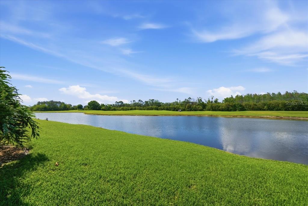 4317 Beau Rivage Circle Lutz, FL 33558 - Photo 67 of 70