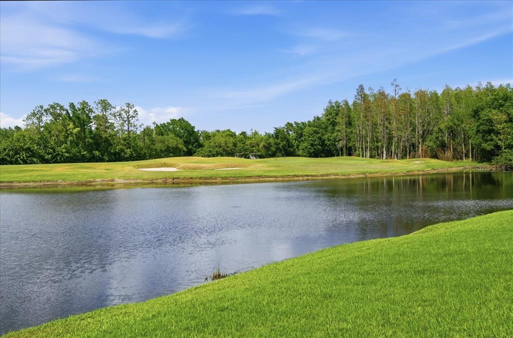 4317 Beau Rivage Circle Lutz, FL 33558 - Photo 68 of 70