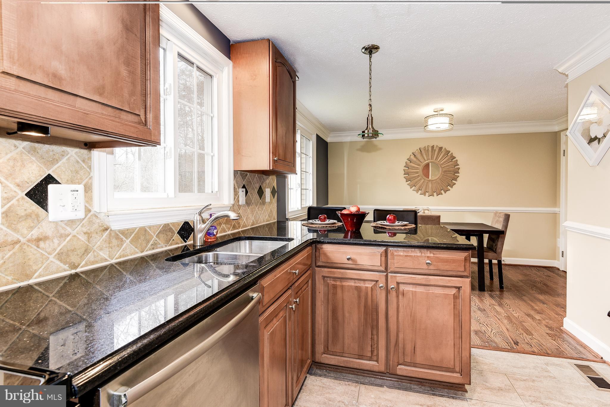 19938 Apple Ridge Place Gaithersburg, MD 20886 - Photo 9 of 30 Kitchen